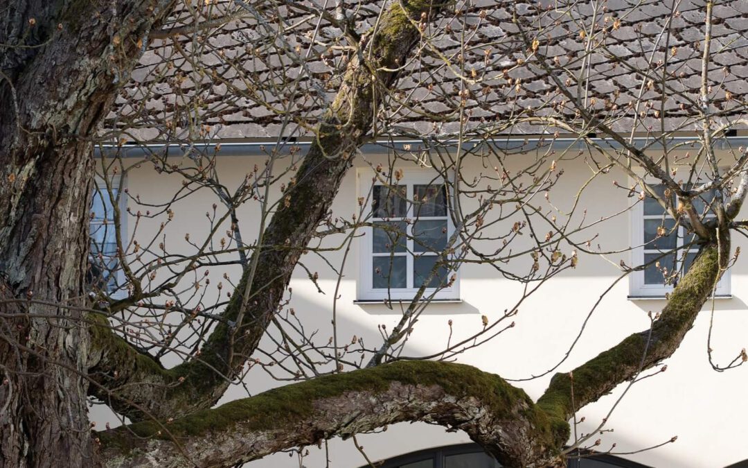 Advertorial: Die Quadratur des Kreises