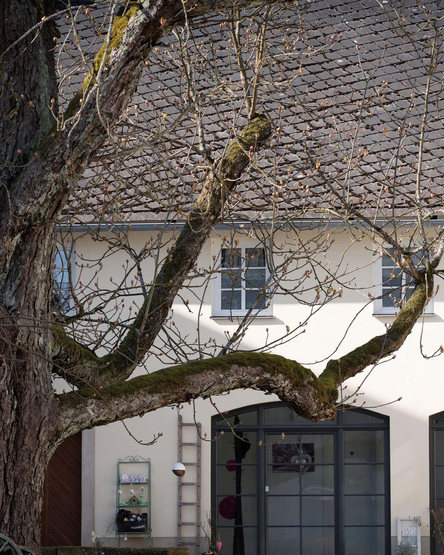 Advertorial: Die Quadratur des Kreises