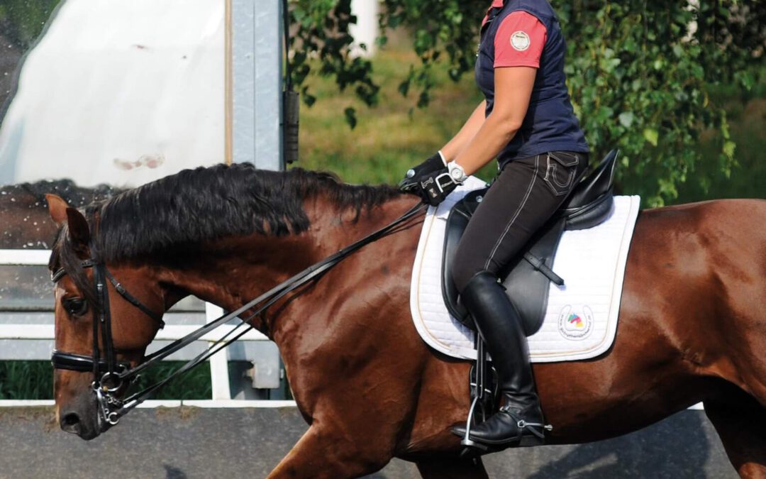 Trainingsstunde: Reiten wie Musik