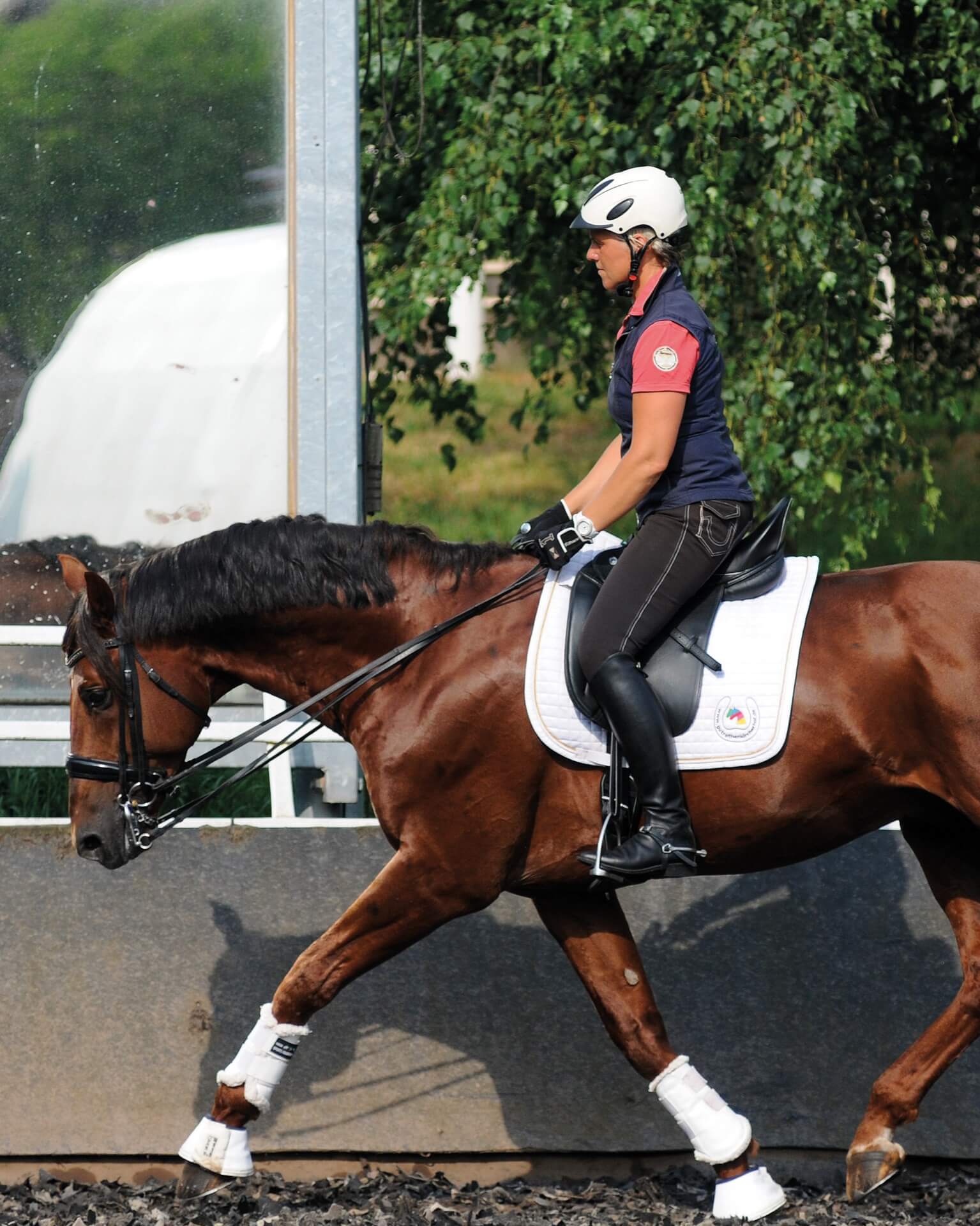 Trainingsstunde: Reiten wie Musik