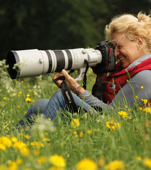 Pferdefotografie zwischen Blick und Sein