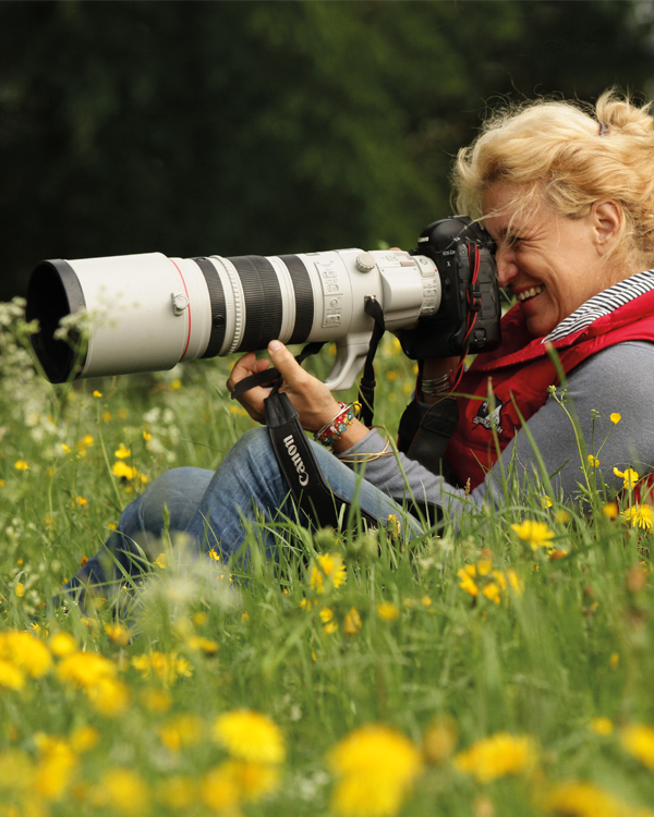 Pferdefotografie zwischen Blick und Sein