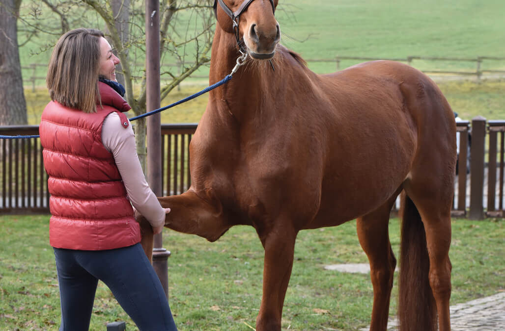 Kraftort der Balance