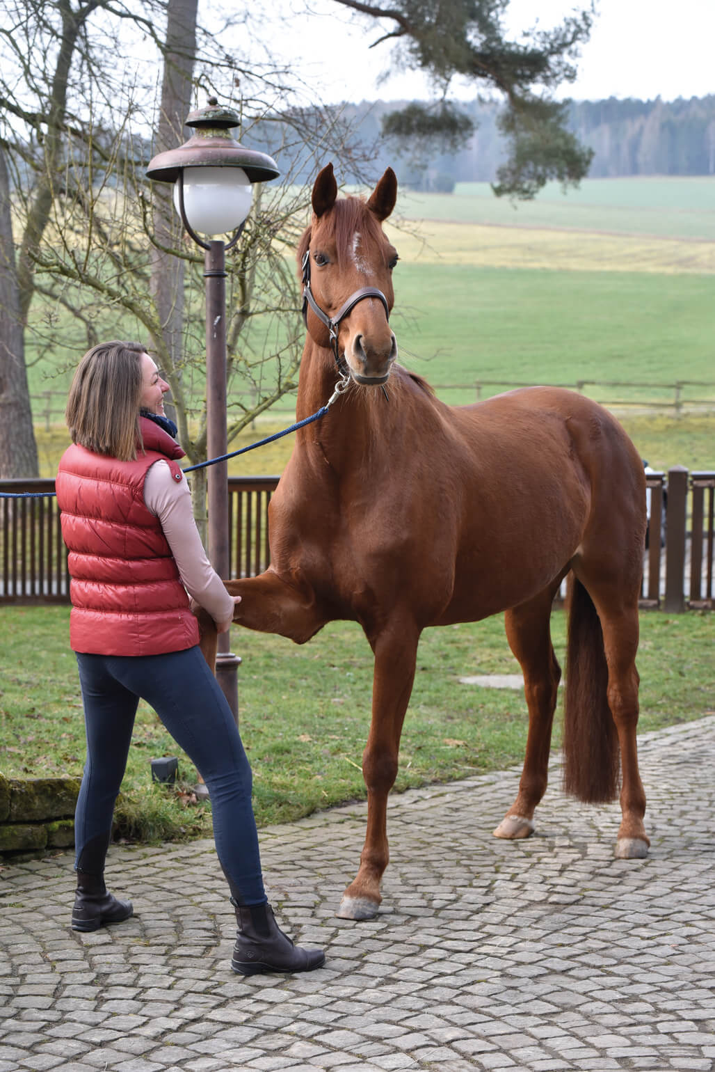 Kraftort der Balance