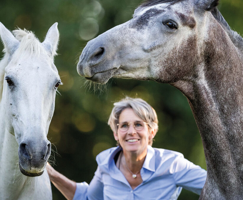 Trainingsstunde: Von der Lehre der Harmonie