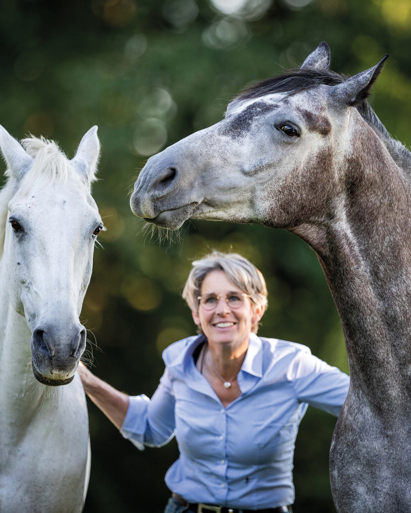 Trainingsstunde: Von der Lehre der Harmonie