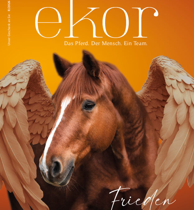 Ausgabe II/2026