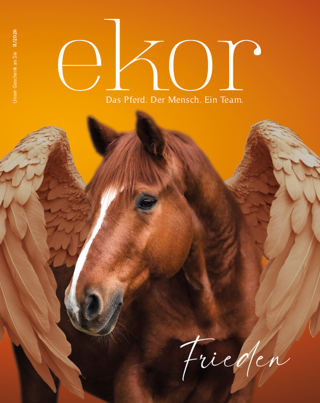 Ausgabe II/2026