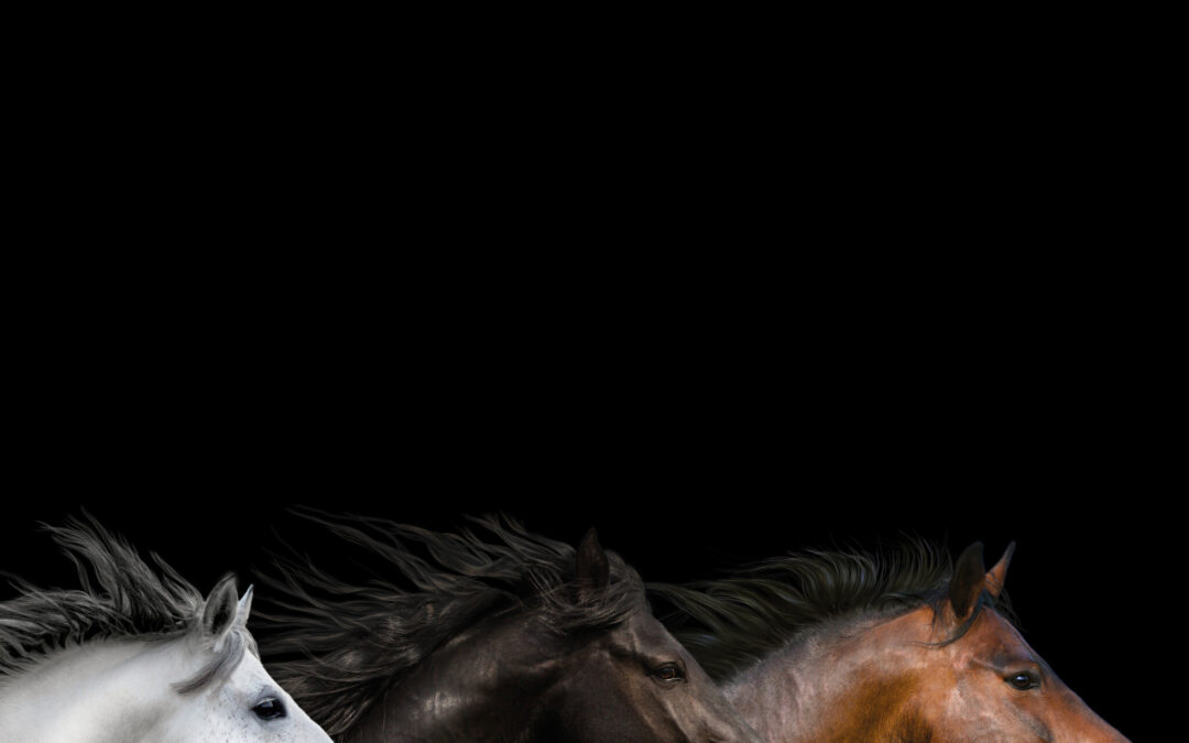 Berühmte Pferde: Im Galopp zum Frieden